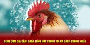 Bệnh Cúm Gia Cầm: Daga Tổng Hợp Thông Tin Và Cách Phòng Ngừa