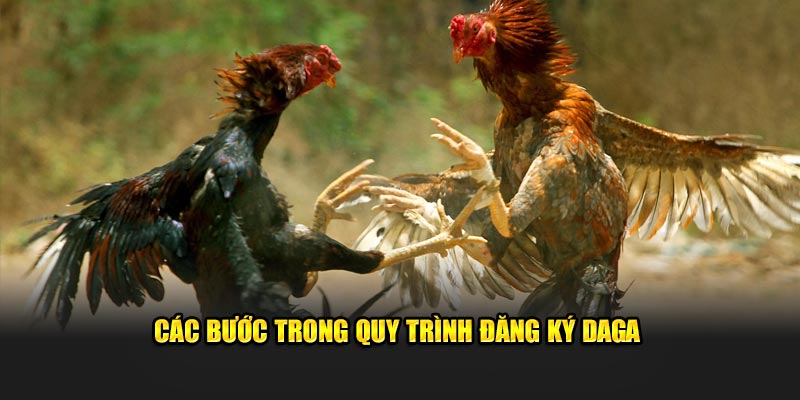 Các bước trong quy trình đăng ký Daga