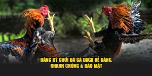 Đăng Ký Chơi Đá Gà Daga Dễ Dàng, Nhanh Chóng & Bảo Mật