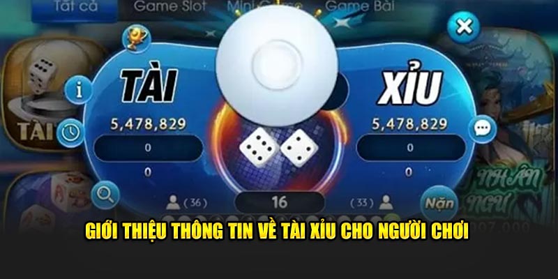 Giới thiệu thông tin về tài xỉu cho người chơi