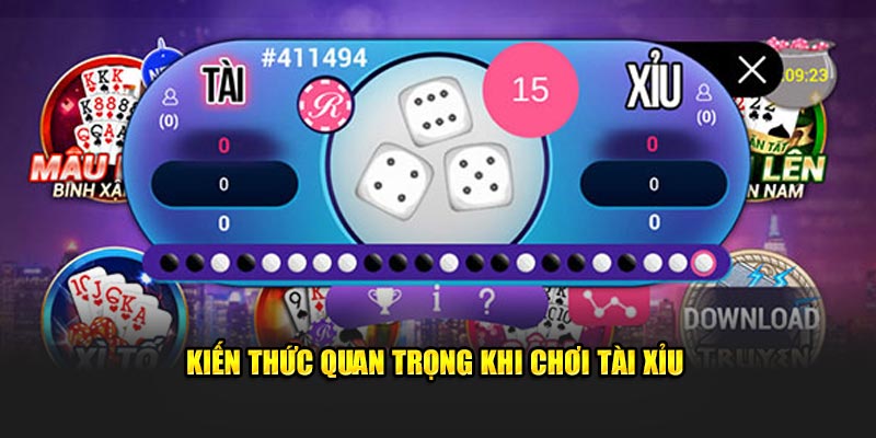 Kiến thức thiết yếu khi chơi tài xỉu