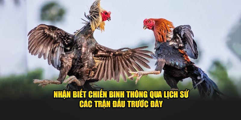 Nhận biết chiến binh thông qua lịch sử các trận đấu trước đây