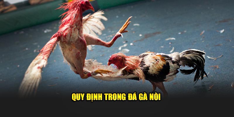 Quy định trong đá gà nòi